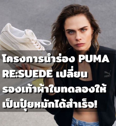 puma suede classic kurim